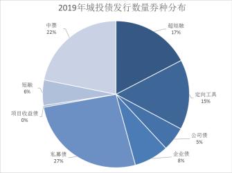 城投债：投资决策的关键因素与风险考量