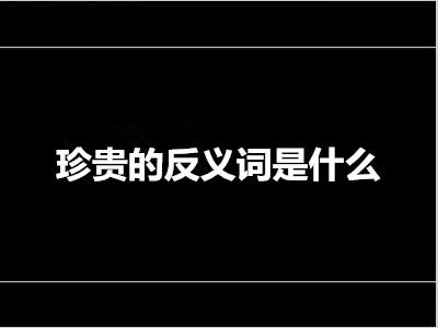 截然不同的反义词：探究事物间的相似之处与共同点