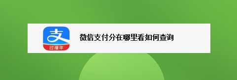 微信支付分查看位置：轻松找到你的信用评分