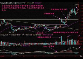 前复权：股票投资中的关键概念与技术分析的基石