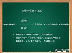 ROE是什么意思：揭秘企业盈利能力的关键指标