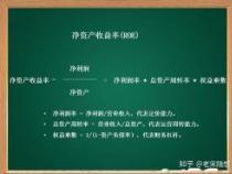 ROE是什么意思：揭秘企业盈利能力的关键指标