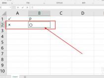 Excel中打勾的符号怎么输入？快速方法与步骤详解