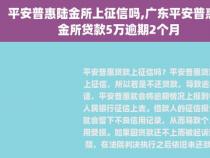 平安普惠贷款条件详解：年龄、收入、征信与居住稳定性要求