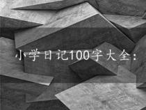 小学日记100字大全：记录我的学习与生活点滴