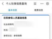 如何查询社保卡账户余额：激活与查询指南