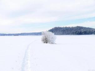 冬日雪景：两个字形容雪的美丽