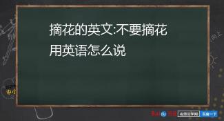 下午的英文怎么说？与孩子共度最佳交流时光