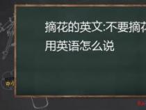 下午的英文怎么说？与孩子共度最佳交流时光