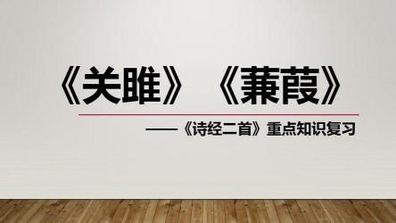 《蒹葭》：探索“蒹葭”背后的深意与人生追求