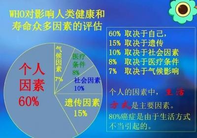 健康与社会：探讨健康与社会地位、医疗体系及健康产业的关联