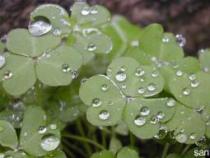 下雨天的心情短语：品味雨中的句子，感悟生活的韵律