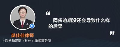 网贷逾期一天会怎么样？后果与应对策略详解