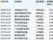 南方理财金A：您的低风险高收益货币基金首选