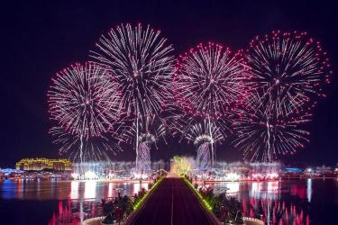 节目开场白：新年狂欢夜，共庆元旦佳节