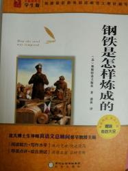 《钢铁是怎样炼成的》经典名言启示：坚韧、信念与人生的锤炼之路