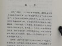 《平凡世界小说》：一部触动心灵的人生纪实