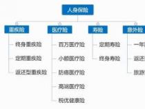 意外险保障范围全解析：从综合到团体，哪种最适合你？