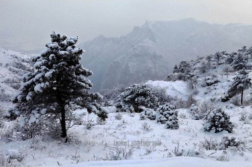 风雪中的诗意航行：孙周卿《水仙子·舟中》解读