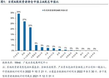 证金持股解析：含义、策略与投资者注意事项