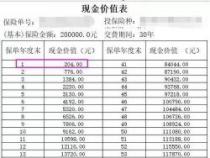 每1000现金价值怎么算：寿险与保险合同保单的差异