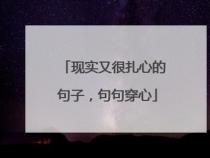 装在口袋里的爸爸：微小身躯中的伟大情感——精选好词好句解读