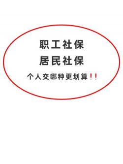 自己交社保：详细指南与步骤，轻松解决社保连续性问题