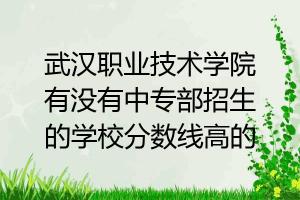 武汉有哪些职业学校？探索武汉职业技术学院的辉煌历程