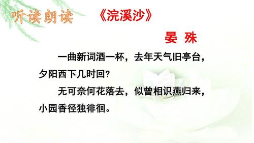 浣溪沙古诗：苏轼的人生感悟与旷达情怀