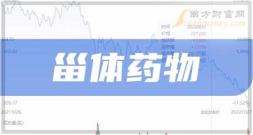 折扣率在增发股票中的重要性：影响投资者成本和上市公司融资策略