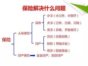 深度解析共同保险：定义、操作与实际意义