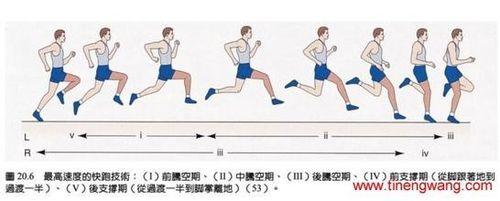 jog是什么意思？了解慢跑的含义与魅力，开启健康运动之旅