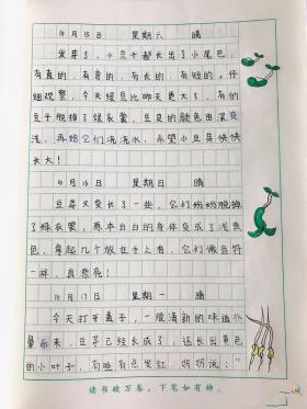 观察日记250字：记录生活中的小美好与奇迹