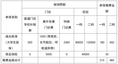 100元学生保险报销范围全览：涵盖意外、疾病与住院医疗