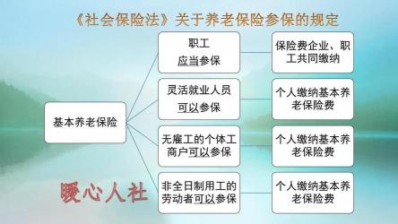 养老保险能退吗？政策详解与注意事项