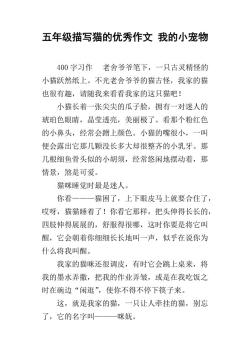 不能没有你——我与宠物的深厚情谊作文800字