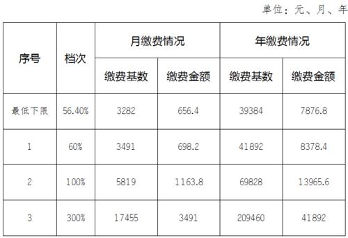 个人养老保险缴费标准：不同类型及对应费用一览