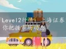 Level2行情：上海证券交易所实时交易数据服务，助你把握市场动态