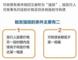 转债申购含义解析：投资者参与转债发行的操作指南