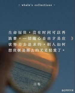 颠沛流离造句：生活的不易与坚韧的力量