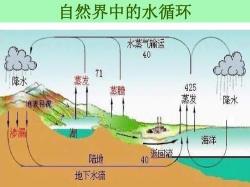 水循环：地球的生命脉络与多重地理效应