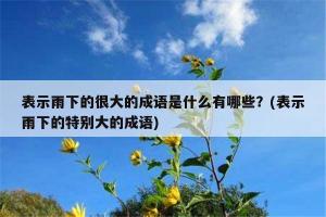 精选描写暴雨的成语大全——领略汉语的魅力与气势