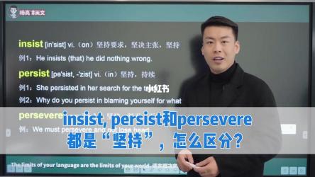 坚持的英语表达：insist