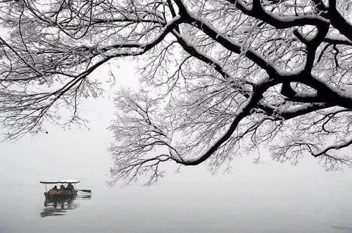 江南的冬景：一幅清丽温暖的画卷