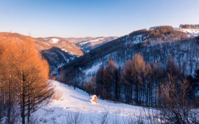 冬日雪景：如诗如画的白色梦境