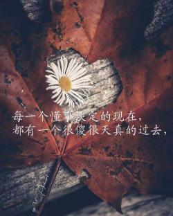 《注定》：一首触动心灵的爱情之歌