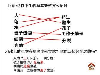 生物的基本特征：从生长到繁殖，揭示生命的奥秘