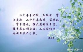 儒家思想的精华：九个字传承千年智慧