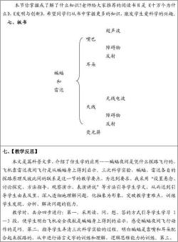 《蝙蝠与雷达》教学反思：深度挖掘文本，优化教学方法