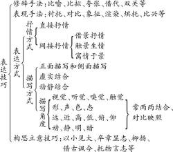 语文表达方法有哪些？一篇文章带你全面了解